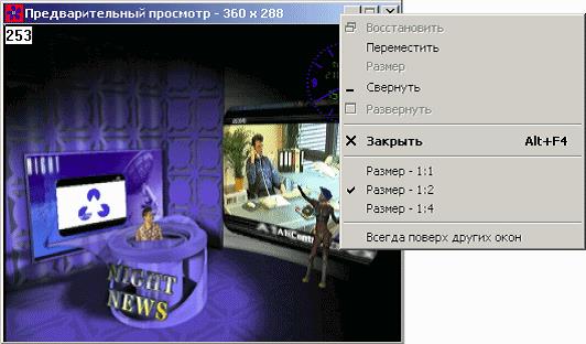 Рис. 14. Окно просмотра