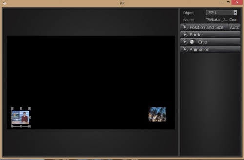 Pip-editor.jpeg
