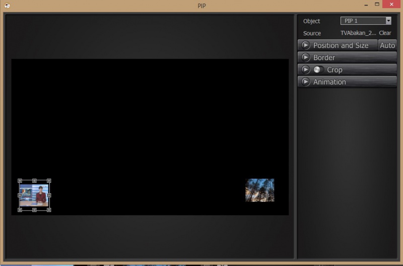 Файл:Pip-editor.jpeg